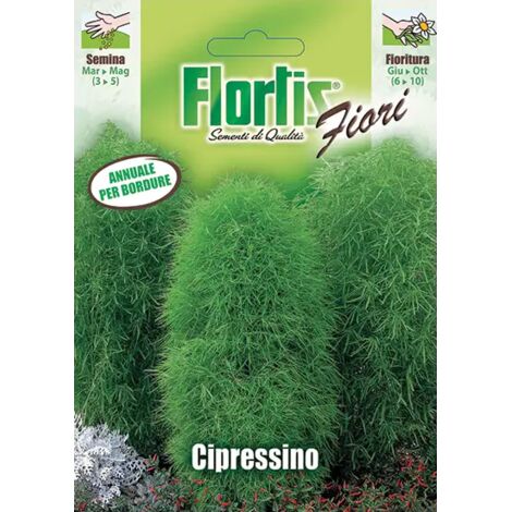 Semi di Cipressino