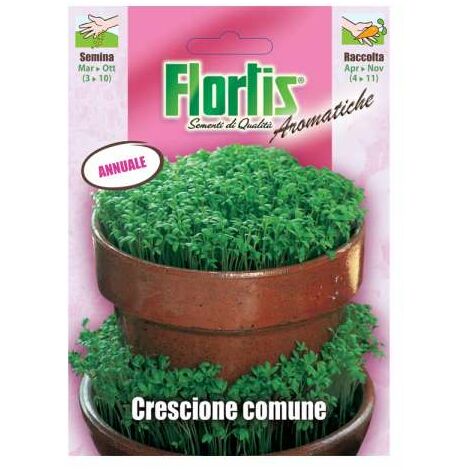 Semi di Crescione in busta