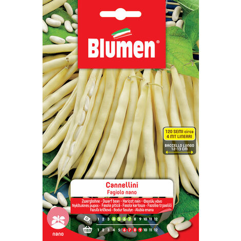 SEMI DI FAGIOLI CANNELLINI NANI