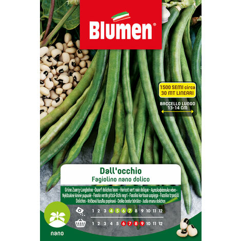 SEMI DI FAGIOLINI NANI DALL'OCCHIO BLUMEN