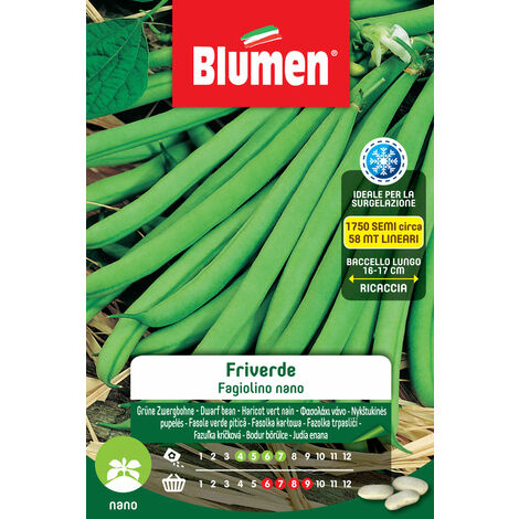 SEMI DI FAGIOLINI NANI FRIVERDE BLUMEN