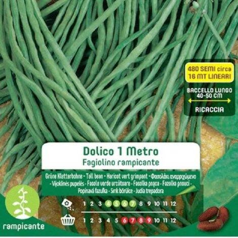 SEMI DI FAGIOLINI NANI RAMPICANTI DOLICO 1MT