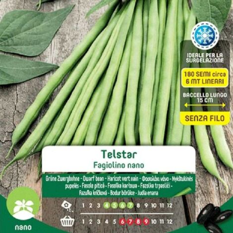 SEMI DI FAGIOLINI NANI TELSTAR