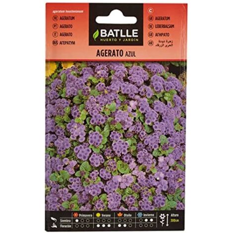 Semi di Fiori  Agerato Blu  Batlle