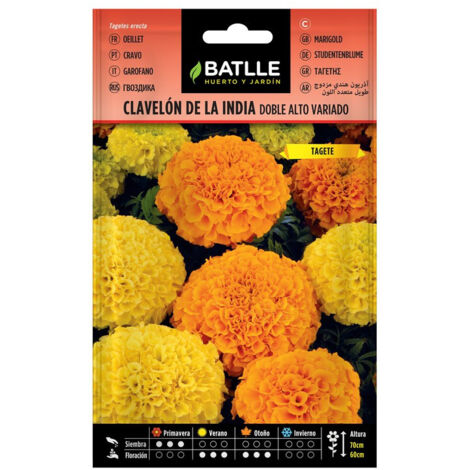 Semi di Fiori – Chiodo Indiano Doppio Alto Assortito – Batlle