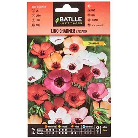 Semi di Fiori - Lino Charmer - Batlle