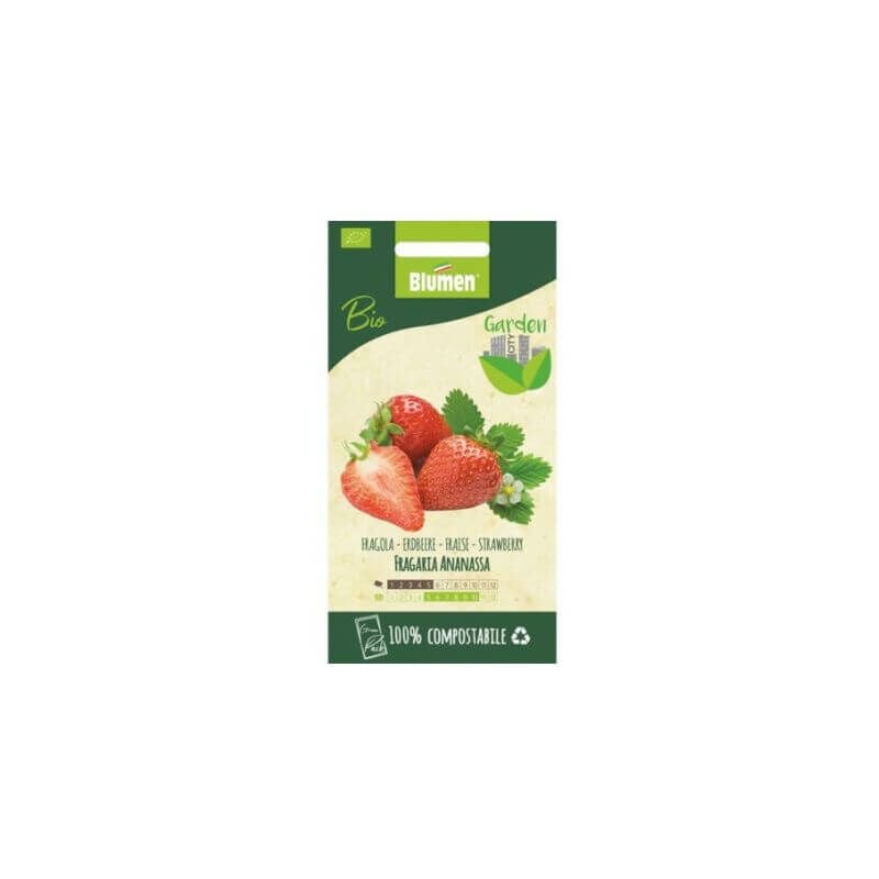Iperbriko - Graines de fraises bio