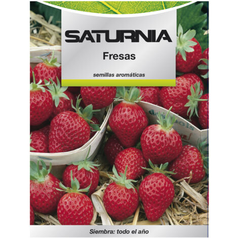 Semi Di Fragola Del Frutteto