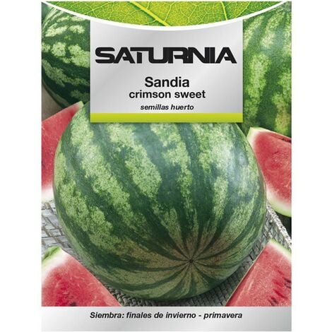 Semi Di Frutteto Di Anguria