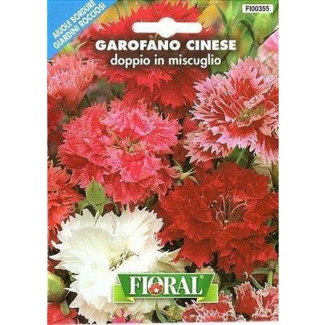 Semi di Garofano Cinese Doppio Miscuglio - Fioral