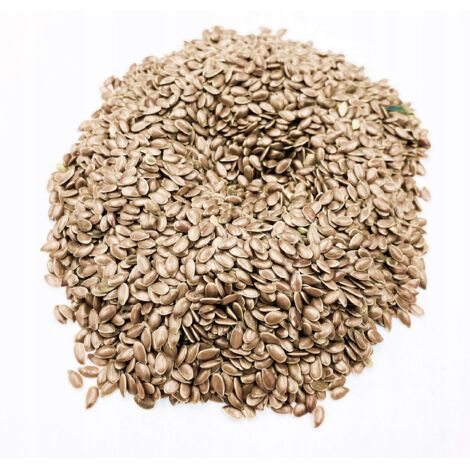 SEMI DI LINO 10 KG 100% NATURALI