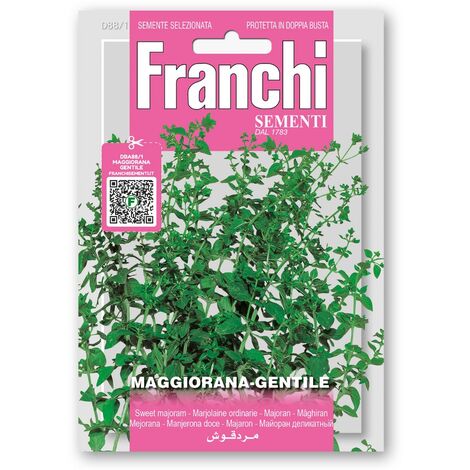 SEMI DI MAGGIORANA GENTILE ORTO GIARDINO