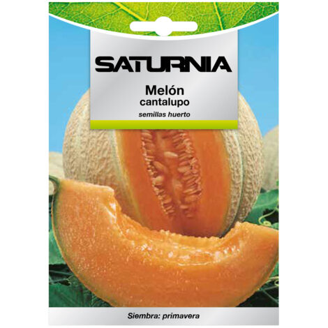 Semi di melone cantalupo (3 grammi) Semi di frutta, orticoltura, orticoltura, semi di giardino.