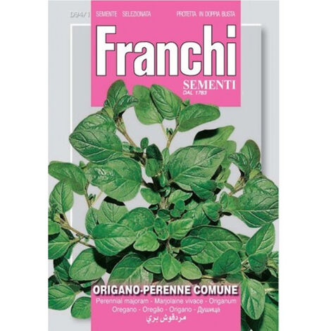 SEMI DI ORIGANO PERENNE COMUNE FRANCHI SEMENTI