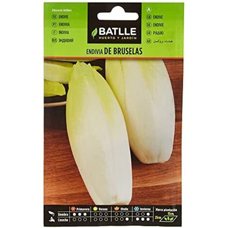 Semi di ortaggi di Batlle - Varietà di cicoria Bruxelles (semi)