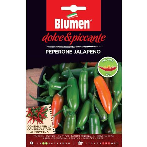 SEMI DI PEPERONE JALAPENO PICCANTE PEPERONCINO BLUMEN