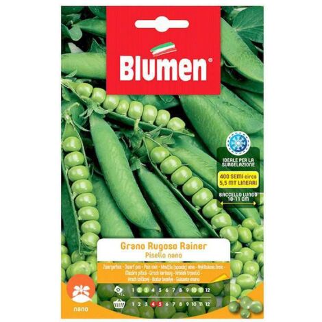 SEMI DI PISELLI NANI GRANO RUGOSO RAINIER BLUMEN