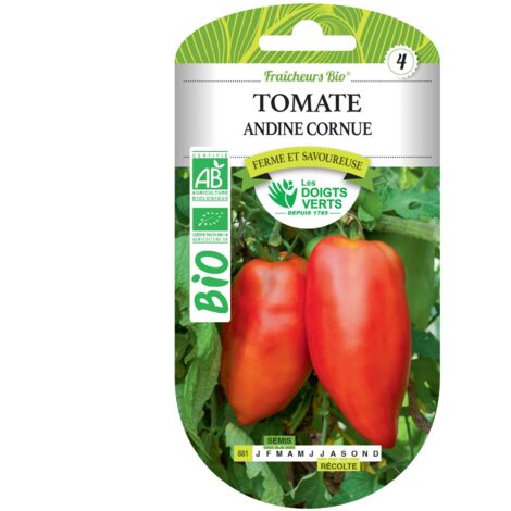 Semi di pomodoro andino cornuto BIO Le Dita Verdi