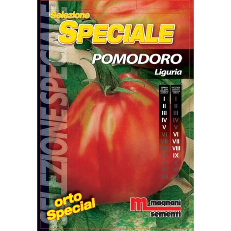 Taglierina Taglia Pomodori Elettrica Trifase Inox Professionale