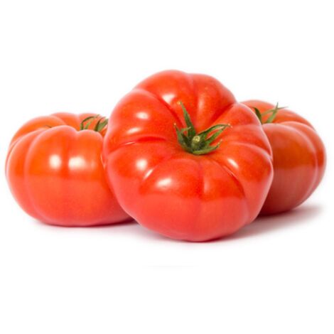 Semi di pomodoro "Marmande" piante per orto e giardino coltivazione domestica e professionale