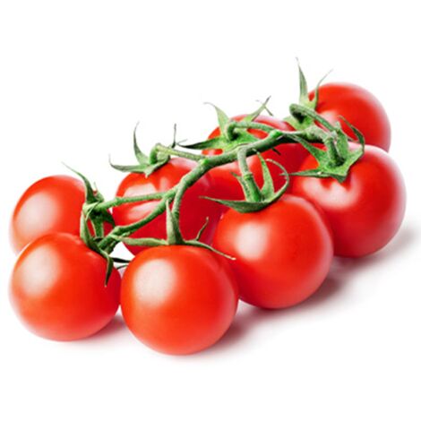 Semi di pomodoro "Tondino maremmano" piante per orto e giardino coltivazione domestica e professionale