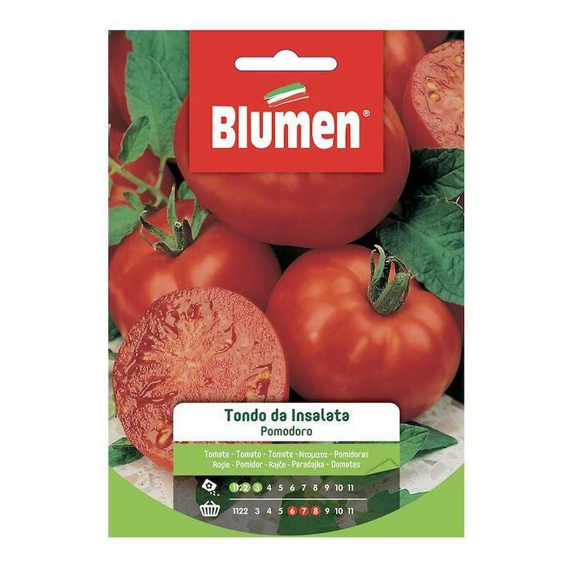 Iperbriko - Graines de tomates rondes de salade dans une enveloppe