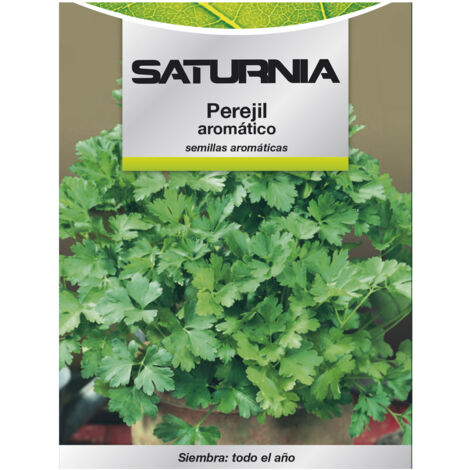 Semi di prezzemolo aromatico (8 grammi)