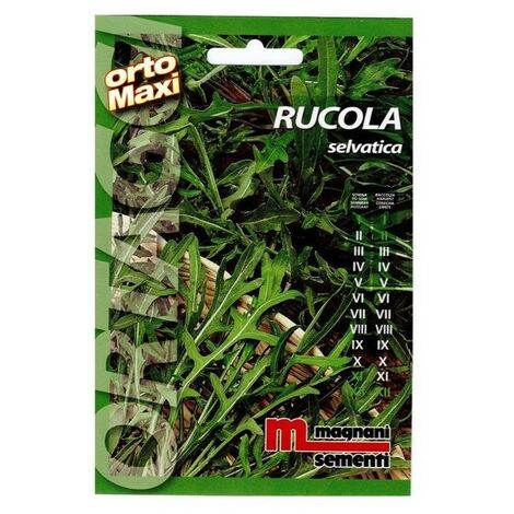 Blumen - Semi - Rucola - Selvatica - A- Seme - Calibrato - Busta – Felice  Natura