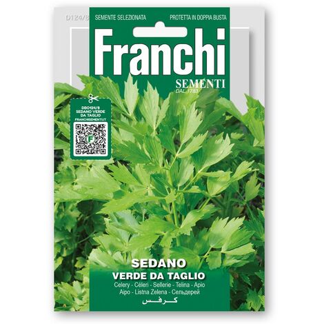 SEMI DI SEDANO VERDE DA TAGLIO ORTO GIARDINO SEMENTI