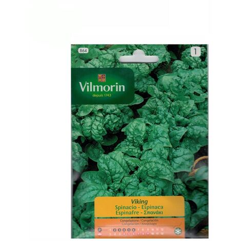Semi di spinaci Vilmorin 15G Vilmorin