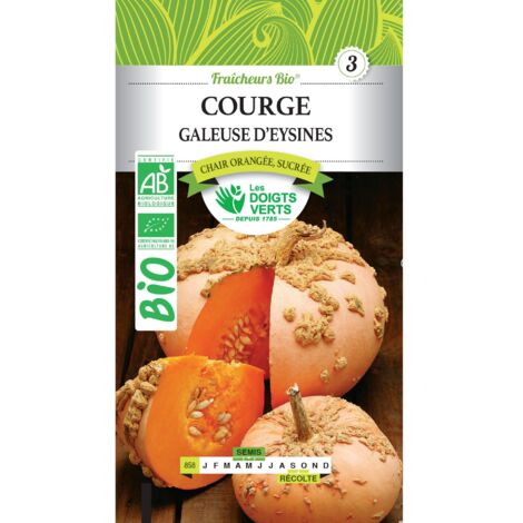 Semi di zucca galeosa di Eysines BIO Le Dita Verdi