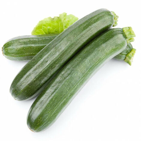 Semi di zucchino "Diamant Hybrid" piante per orto e giardino coltivazione domestica e professionale