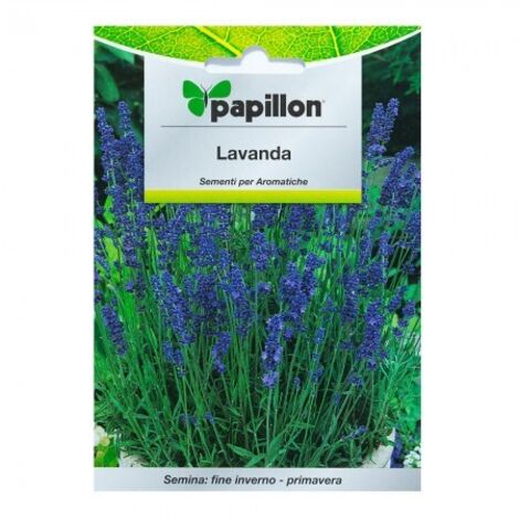 SEMI ERBA AROMATICA """LAVANDA""" - CF. BUSTA 0,5 GR.
