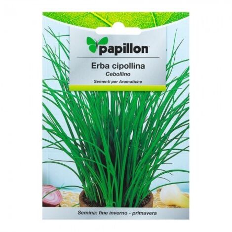 SEMI ERBA AROMATICA PAPILLON "ERBA CIPOLLINA" - CF. BUSTA 1 GR.