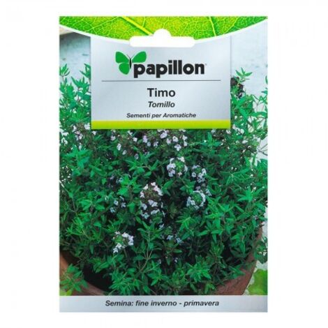 SEMI ERBA AROMATICA PAPILLON "TIMO" - CF. BUSTA 1 GR.