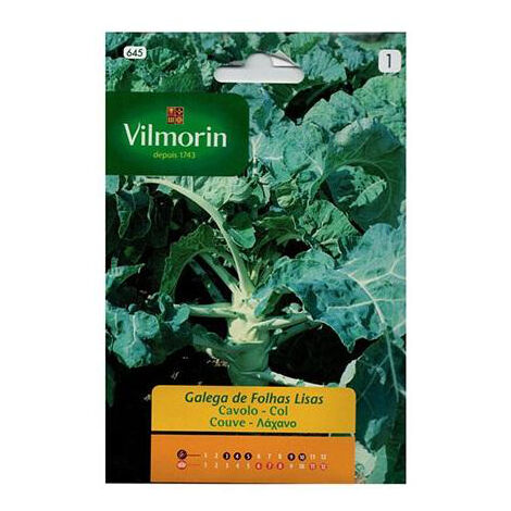 Semi galiziani di foglie lisce vilmorin 8g