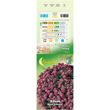 SEMI GARDEN ALISSO VIOLETTO NANO- 10,0 pz