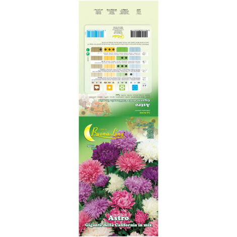 SEMI GARDEN ASTRO DELLA CINA- 10,0 pz