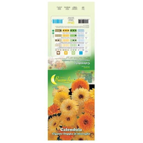 SEMI GARDEN CALENDULA