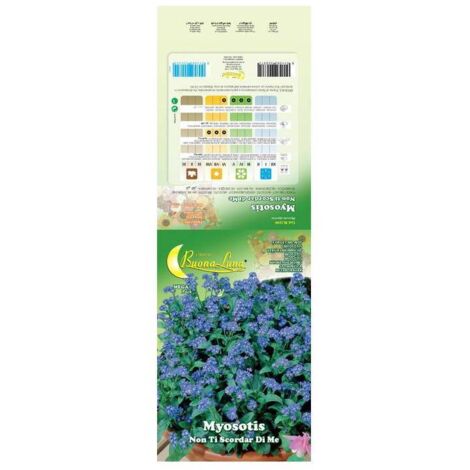 SEMI GARDEN MYOSOTIS