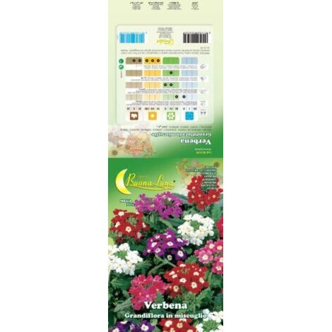 SEMI GARDEN VERBENA HYBRIDA 10 PZ