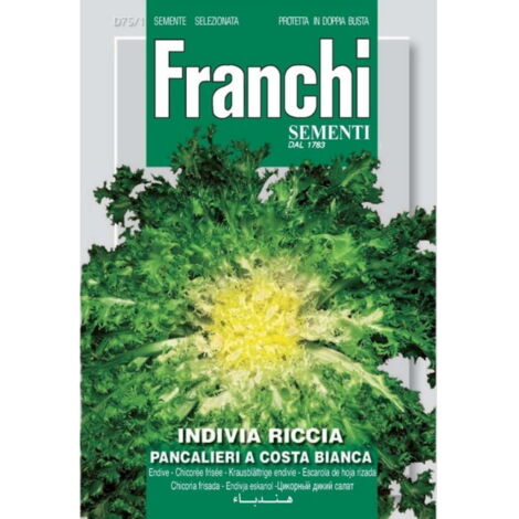 SEMI INDIVIA RICCIA                 75/1