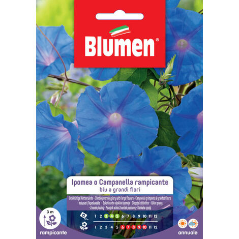 SEMI IPOMEA RAMPICANTE BLU