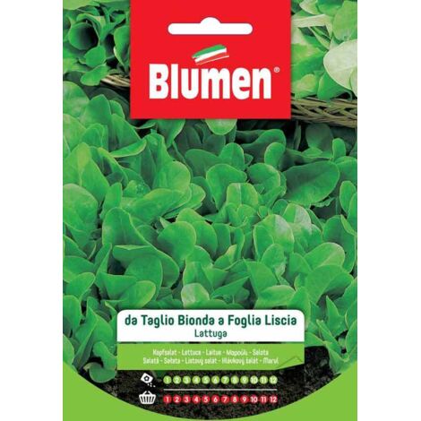 SEMI LATTUGA TAGLIO BIONDA LISCIA BLUMEN SEMENTI ORTO