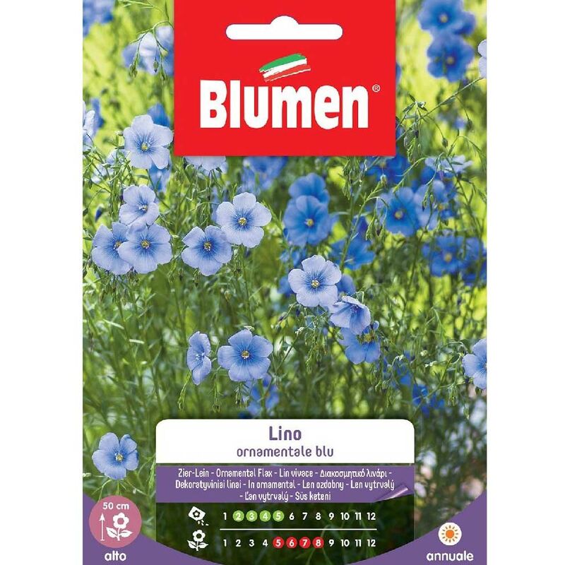 Blumen - graines de lin ornemental blue