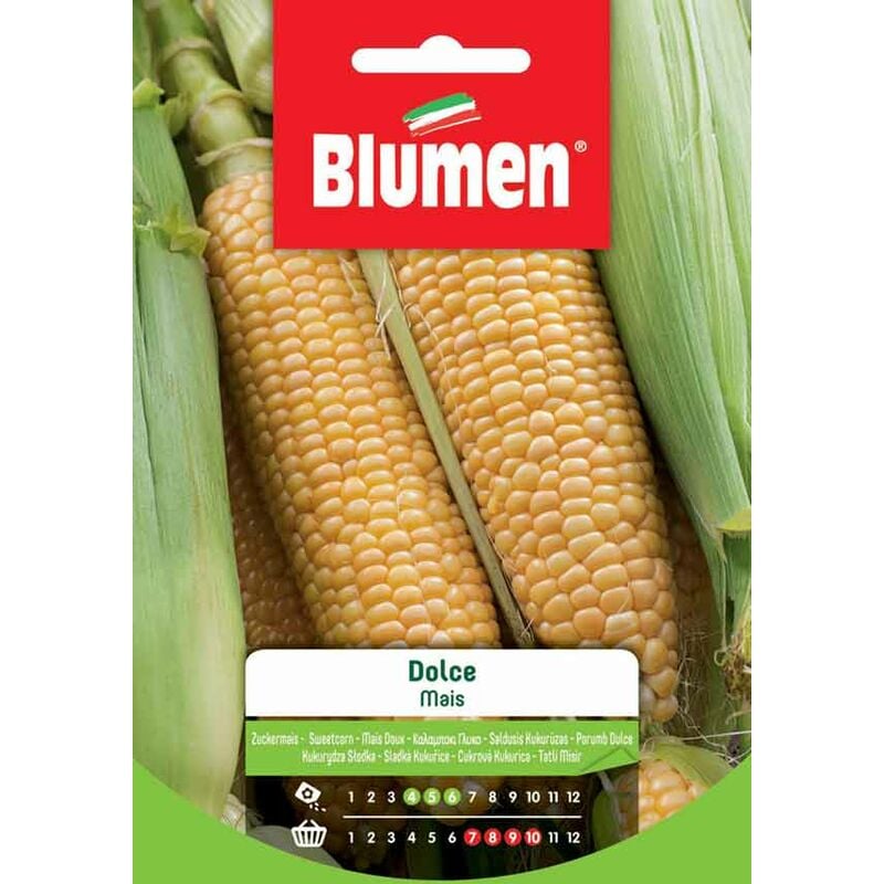 Blumen - Maïs à graines sucrées