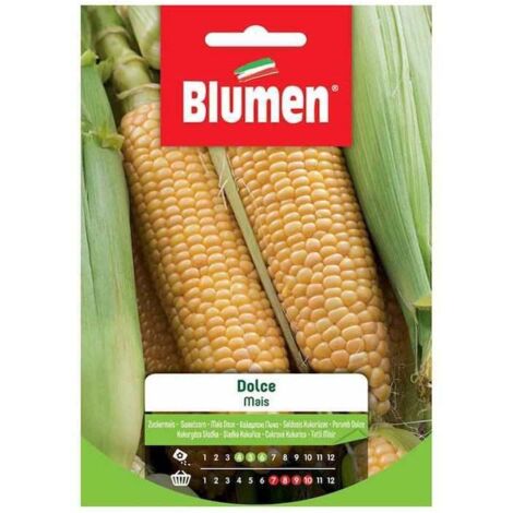 SEMI MAIS DOLCE BLUMEN