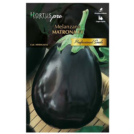 Semi melanzana metrona f1