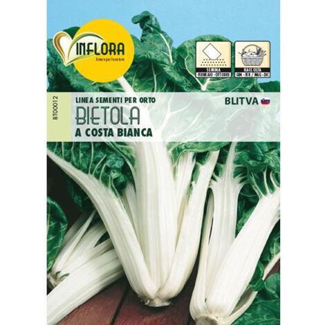 SEMI ORTO """BIETOLA COSTA BIANCA""" - CF. BUSTA 1 GR.
