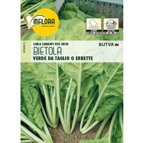 SEMI ORTO """BIETOLA VERDE DA TAGLIO O ERBETTA""" - CF. BUSTA 8 GR.
